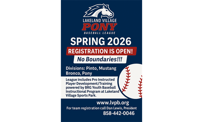 Lakeland Village Pony Baseball Spring Season
