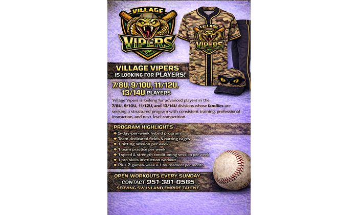  - VILLAGE VIPERS - 